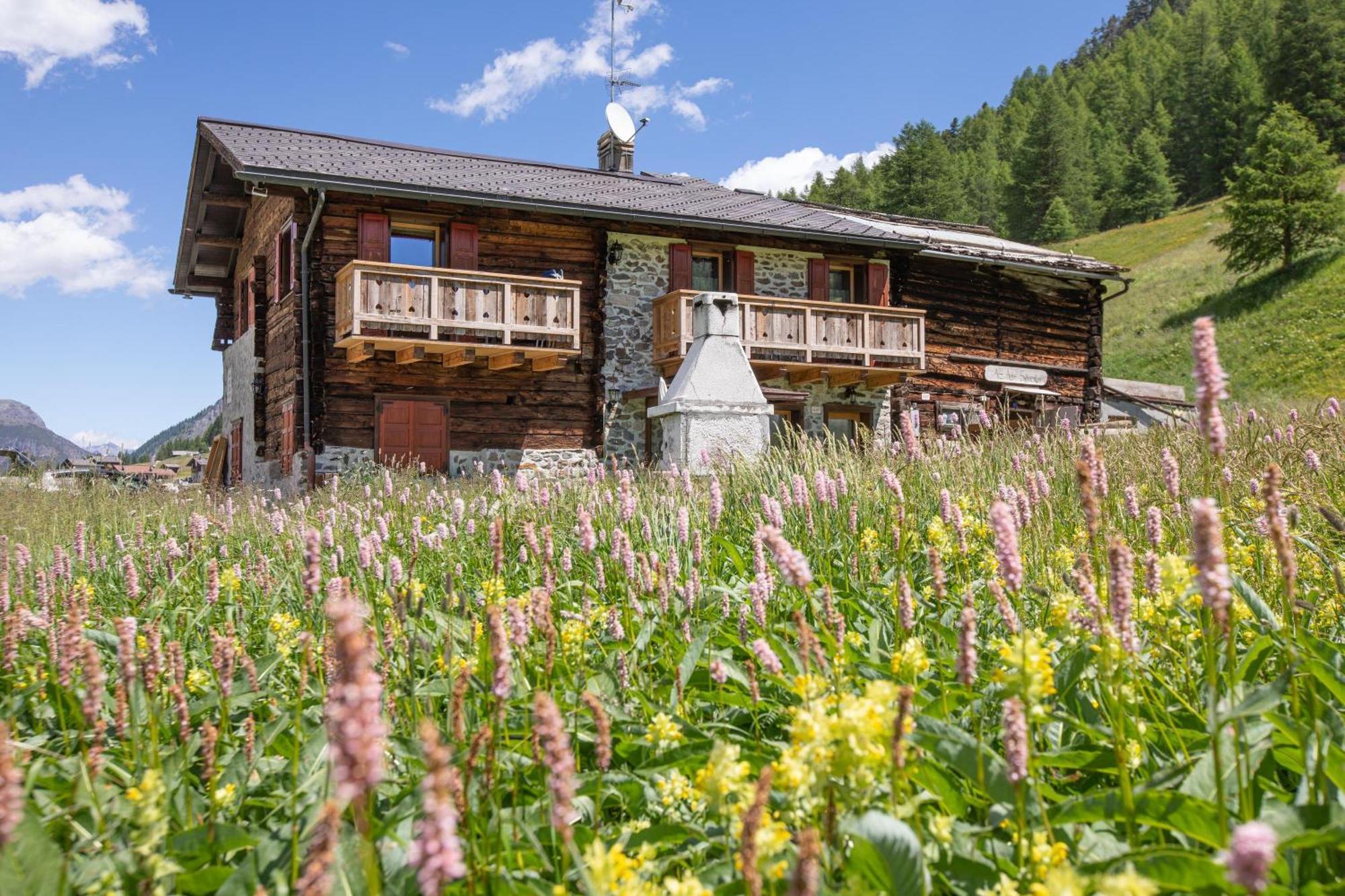 Apartment Pizalegn Bait Da Rez Livigno